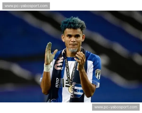 美洲杯球探——发现下一位足球巨星的秘密武器 美洲杯球探——发现下一位足球巨星的秘密武器